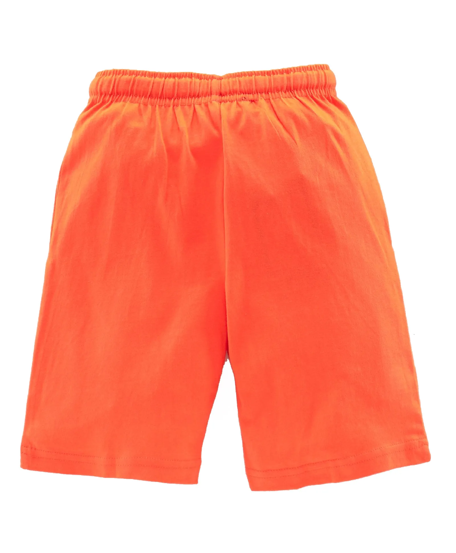 Boys Cotton T-shirt with Print and Knee length Shorts Set